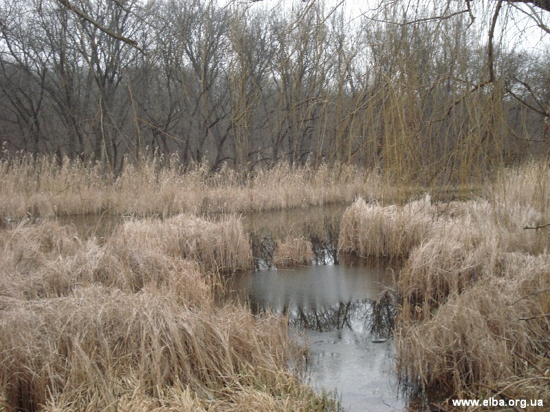 Зимняя Украинская Эльба 2007 г.