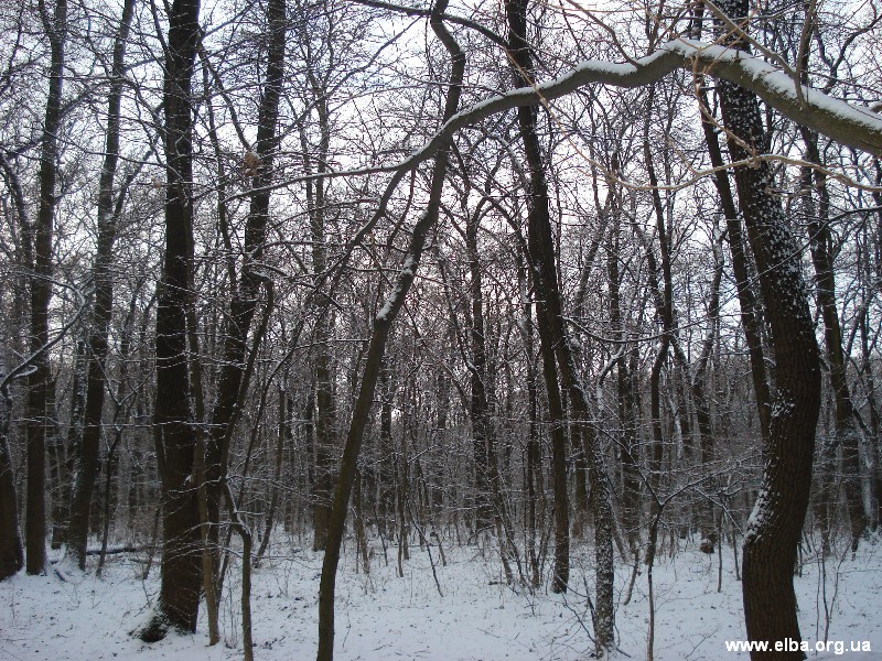 Зимняя Украинская Эльба 2007 г.