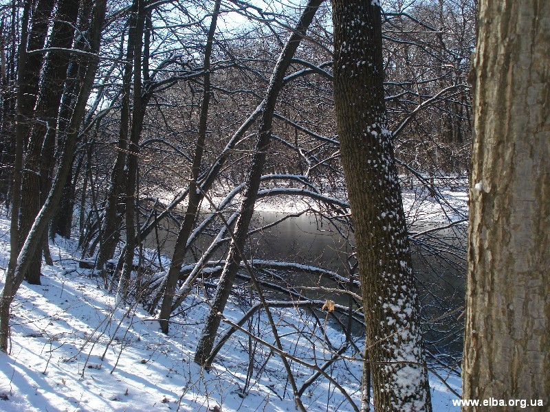 Зимняя Украинская Эльба 2007 г.