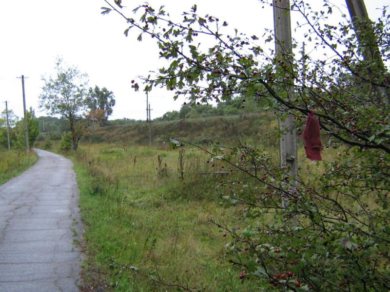 IMG 0029