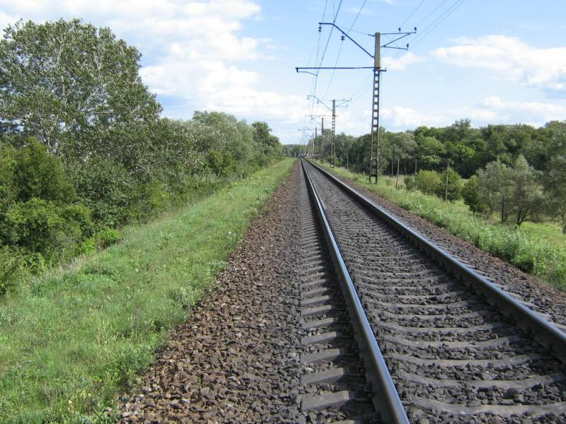 IMG 0053