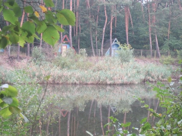 Осенняя Украинская Эльба 2010