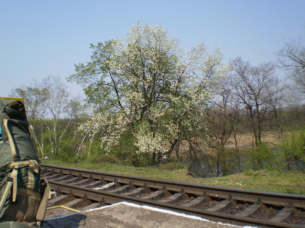P4200077
