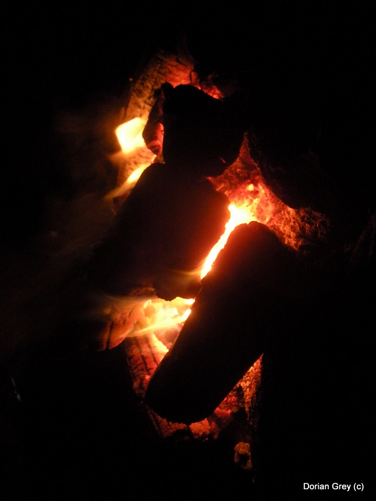 Осенняя Южная Эльба [Стрижамент 2009]