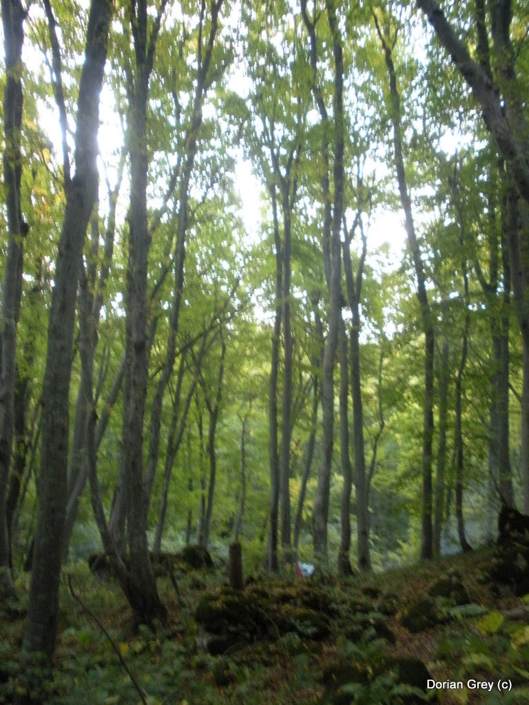 Осенняя Южная Эльба [Стрижамент 2009]