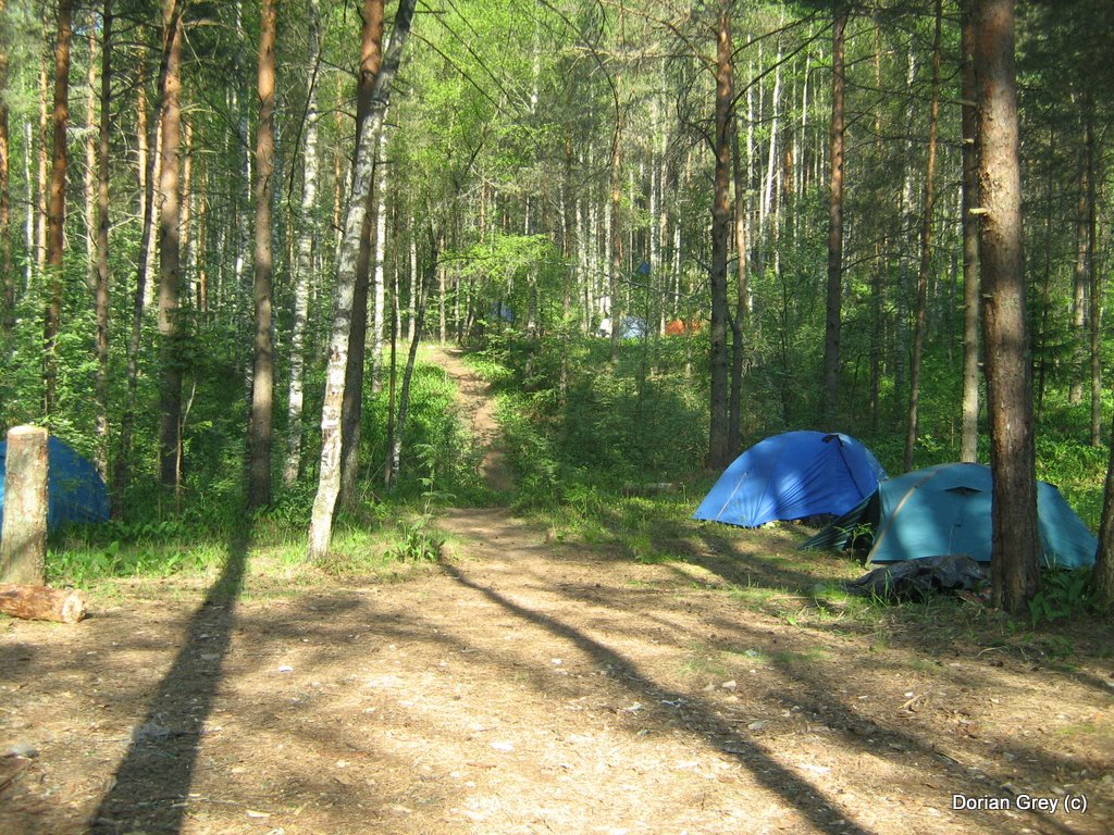 Весенняя Эльба в Ижицах [2010]