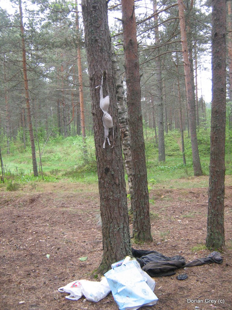 Весенняя Эльба в Ижицах [2010]