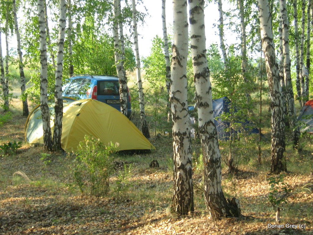 Азиопская Эльба Азиопа-2010