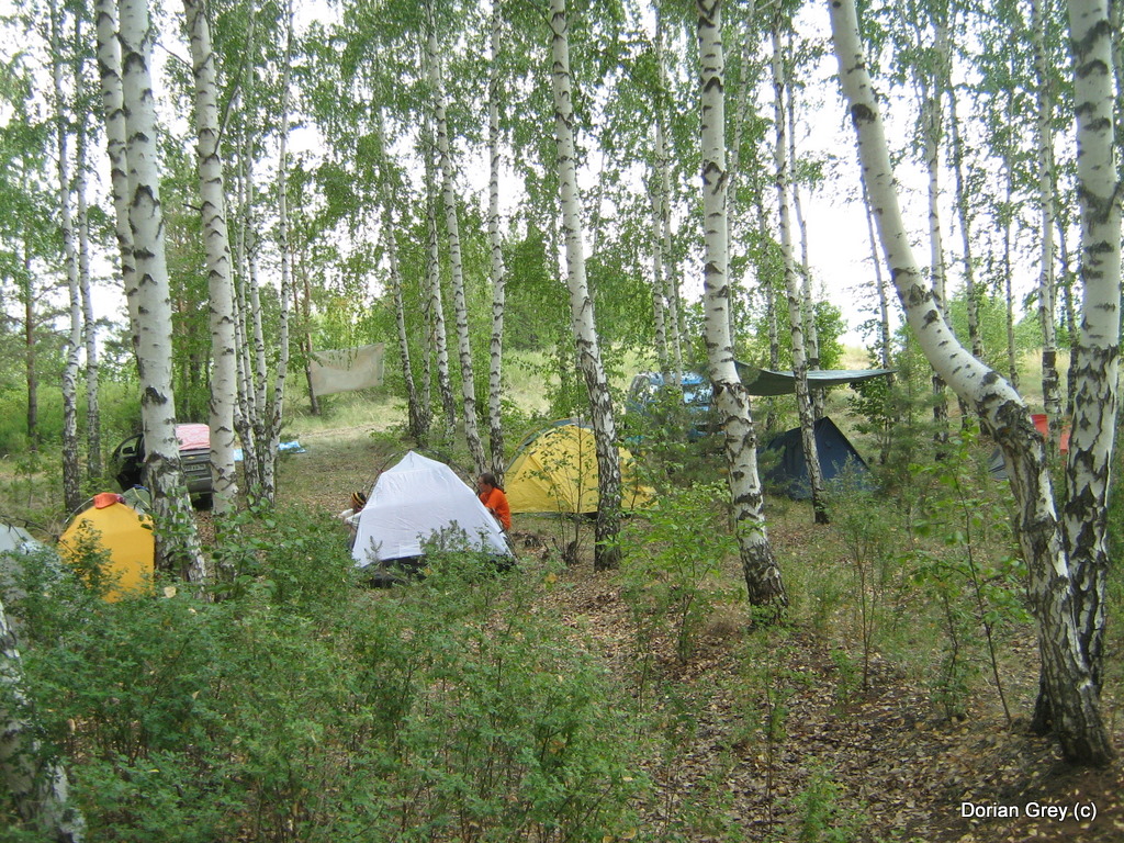 Азиопская Эльба Азиопа-2010