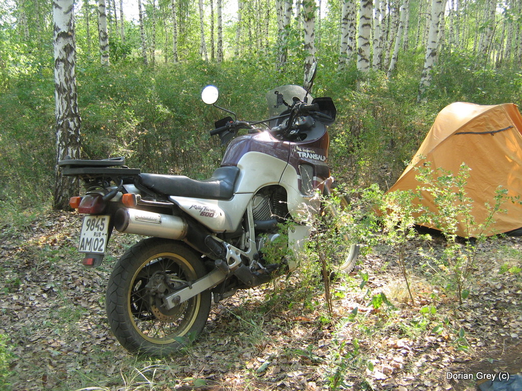 Азиопская Эльба Азиопа-2010