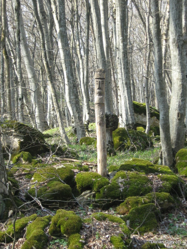 Весенняя Южная Эльба [Стрижамент 2009]