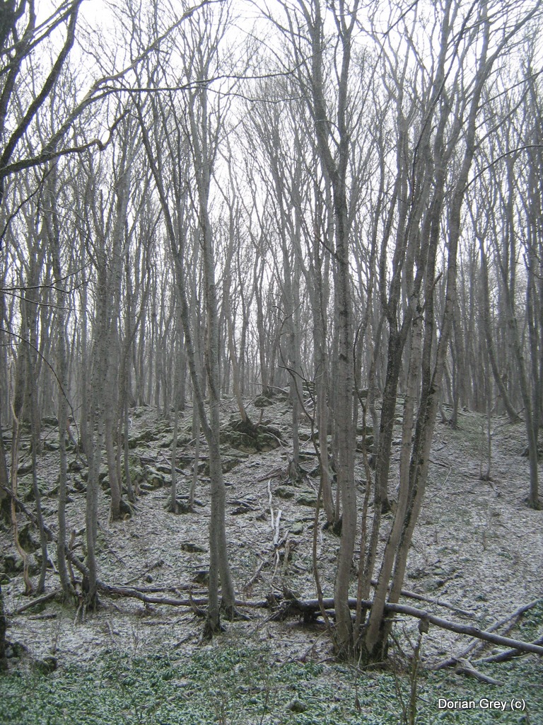 Весенняя Южная Эльба [Стрижамент 2009]