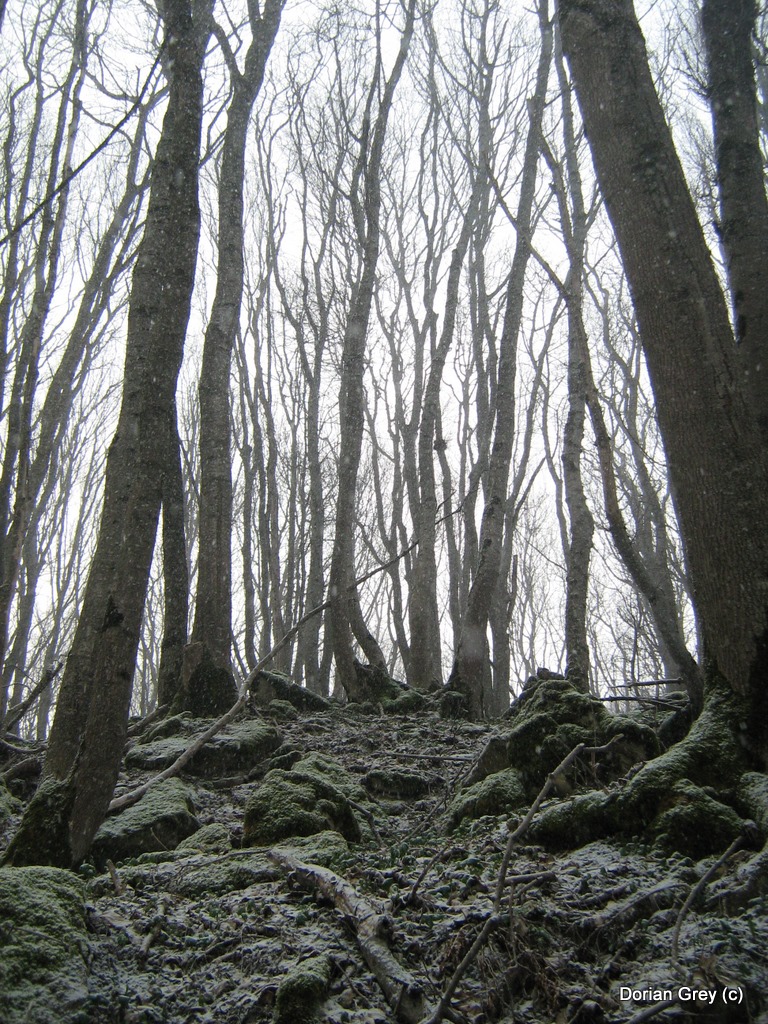 Весенняя Южная Эльба [Стрижамент 2009]
