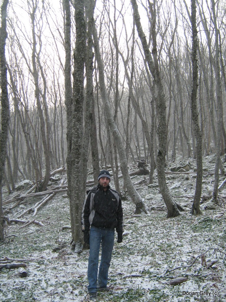 Весенняя Южная Эльба [Стрижамент 2009]