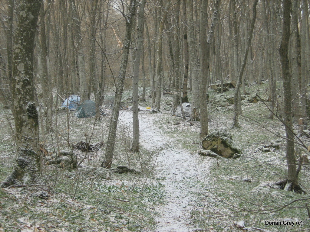 Весенняя Южная Эльба [Стрижамент 2009]