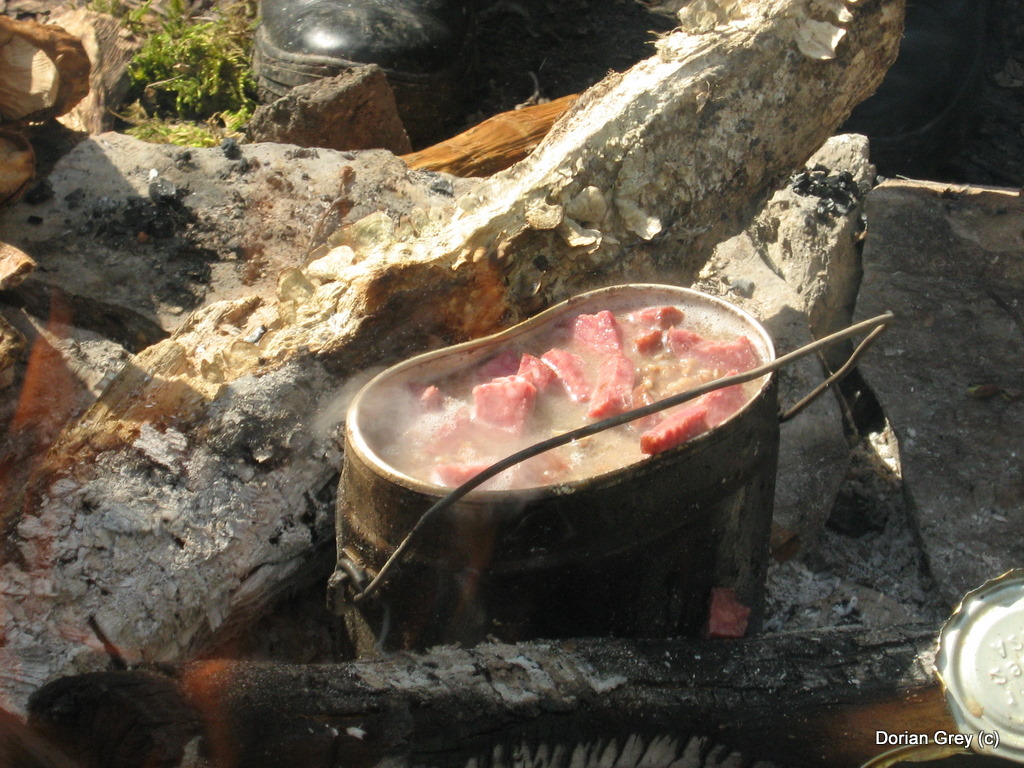 Весенняя Южная Эльба [Стрижамент 2009]