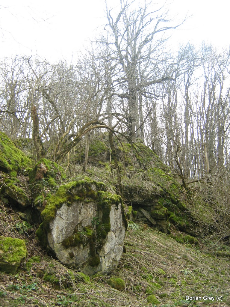Весенняя Южная Эльба [Стрижамент 2009]