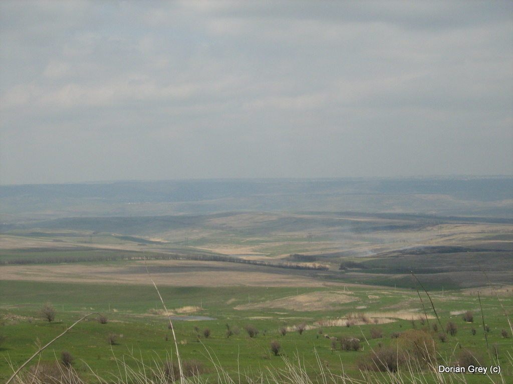Весенняя Южная Эльба [Стрижамент 2009]