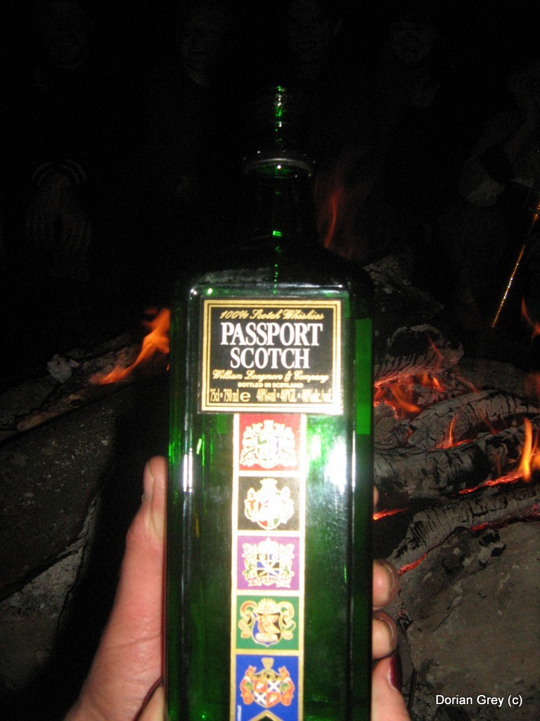 Весенняя Южная Эльба [Стрижамент 2009]