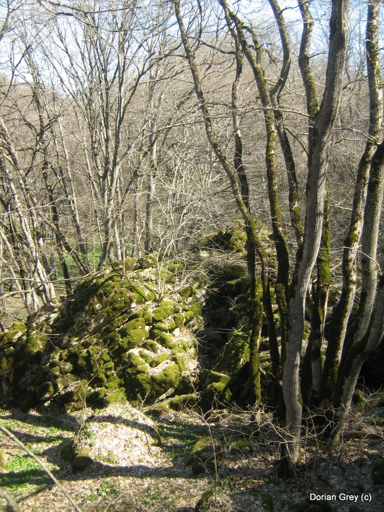Весенняя Южная Эльба [Стрижамент 2009]