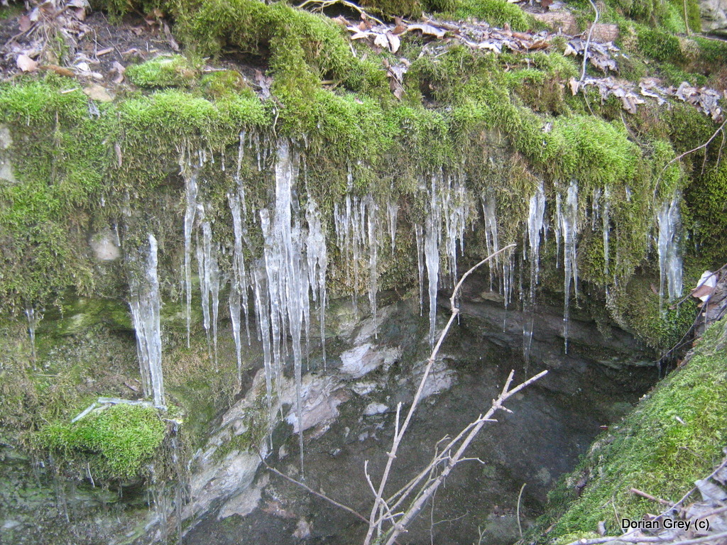 Весенняя Южная Эльба [Стрижамент 2009]