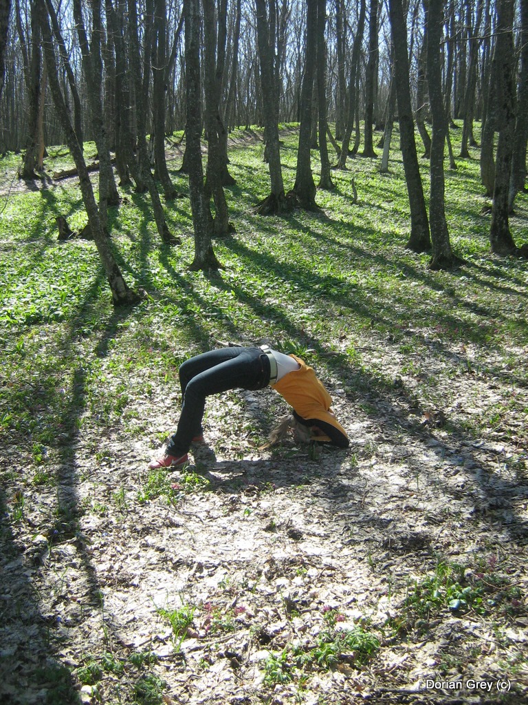 Весенняя Южная Эльба [Стрижамент 2009]