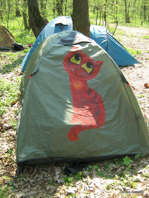Весенняя Украинская Эльба [2009]