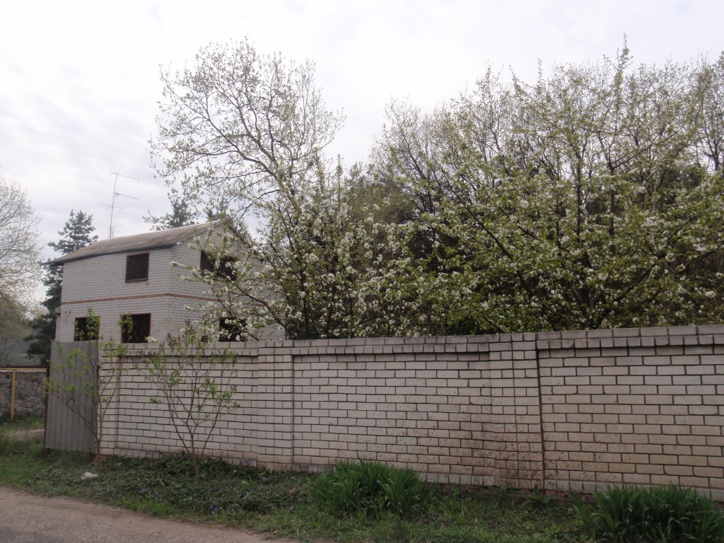 Весенняя Украинская Эльба 2012