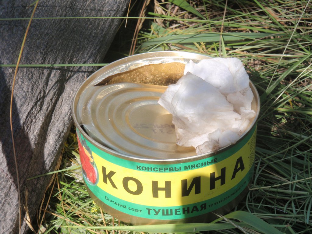 Азиопская Эльба Азиопа-2012