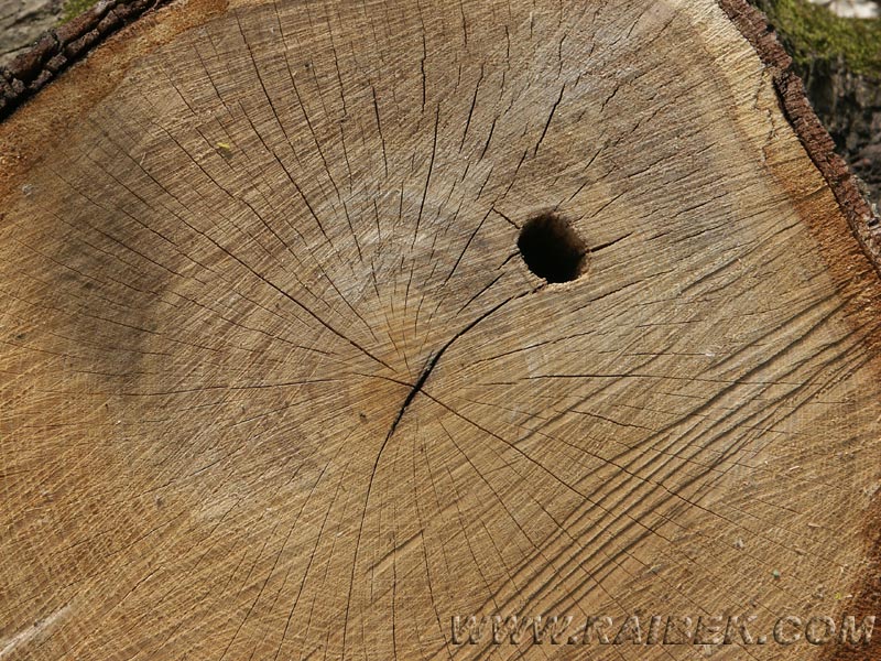 PICT0064