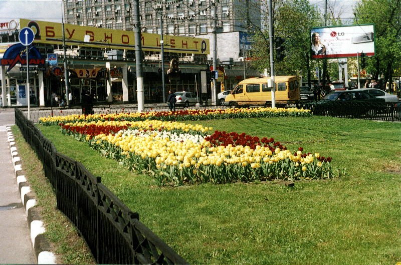 Москва цветушие тюльпаны