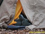 IMG 0411