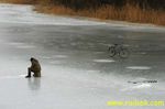 IMG 0412