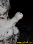 IMG 0432