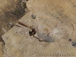 PICT0056