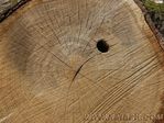 PICT0064