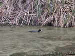 PICT0066