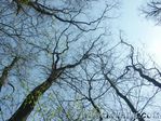 PICT0072