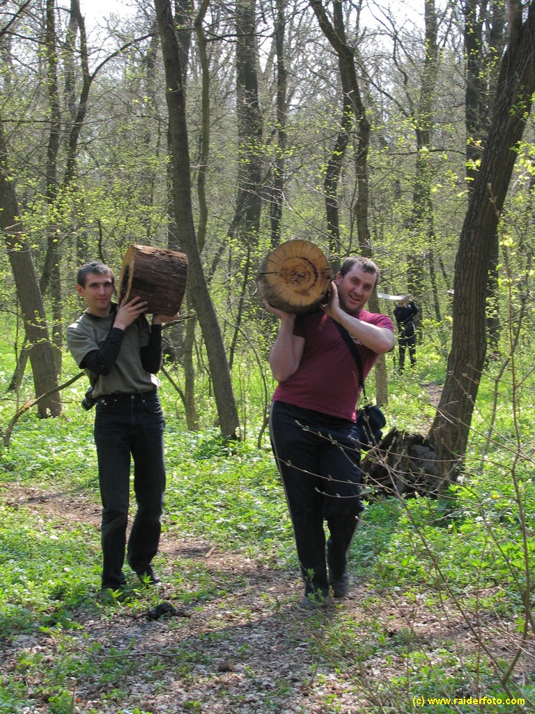 Дровосеки