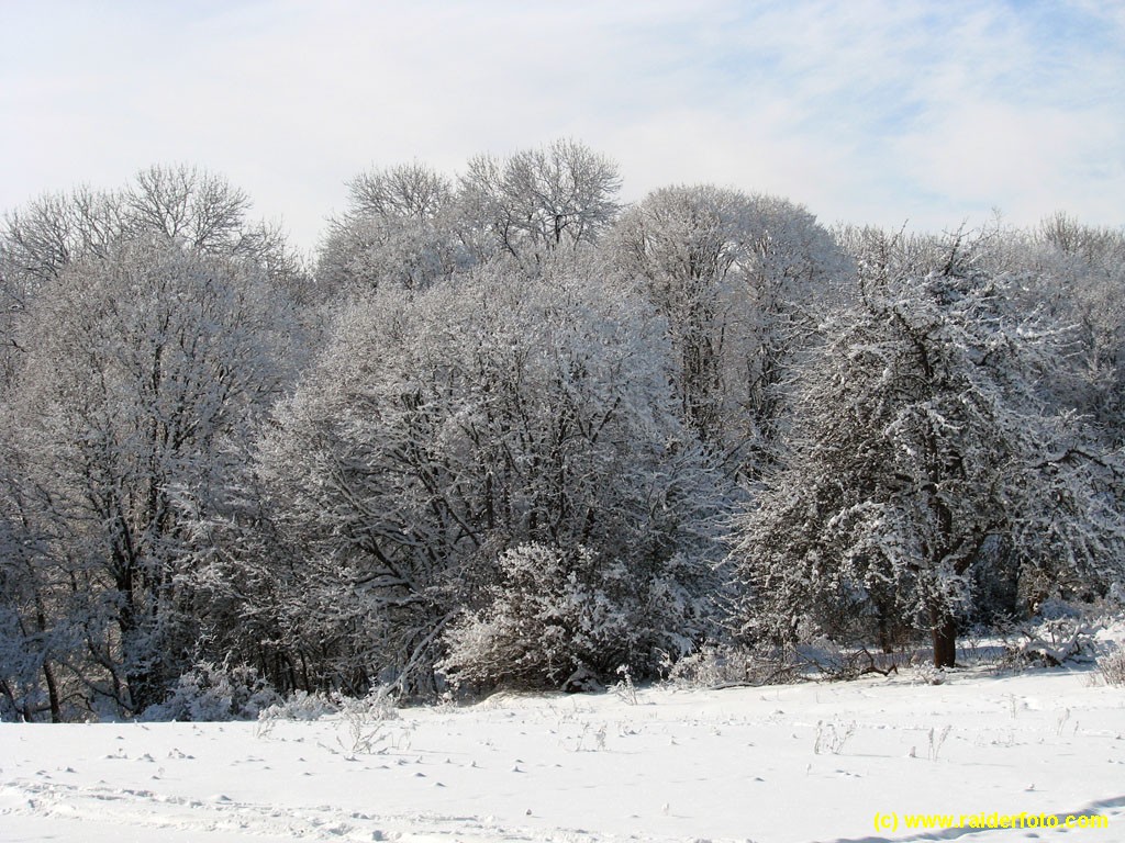Зима в Крыму