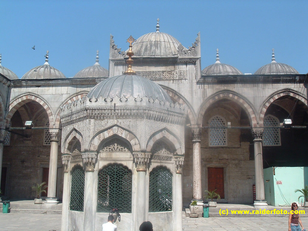 DSCF1906