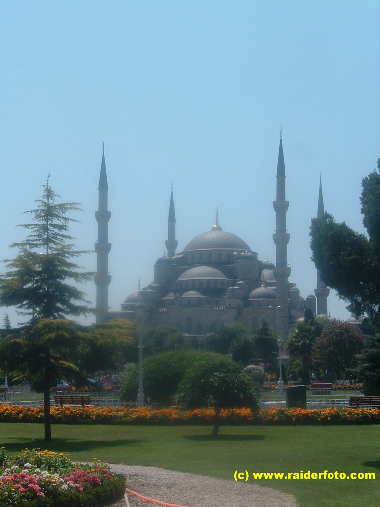 DSCF1912