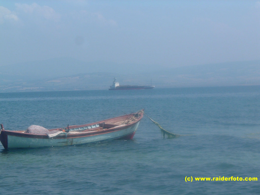 DSCF1944