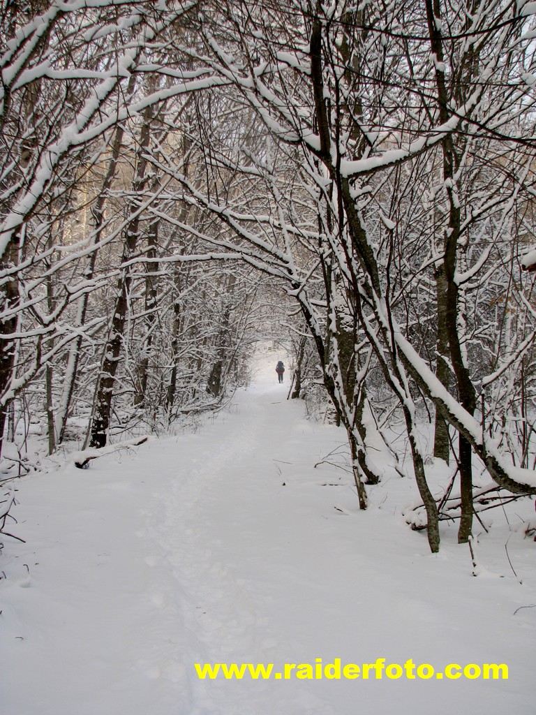 По дороге на Северный Димерджи