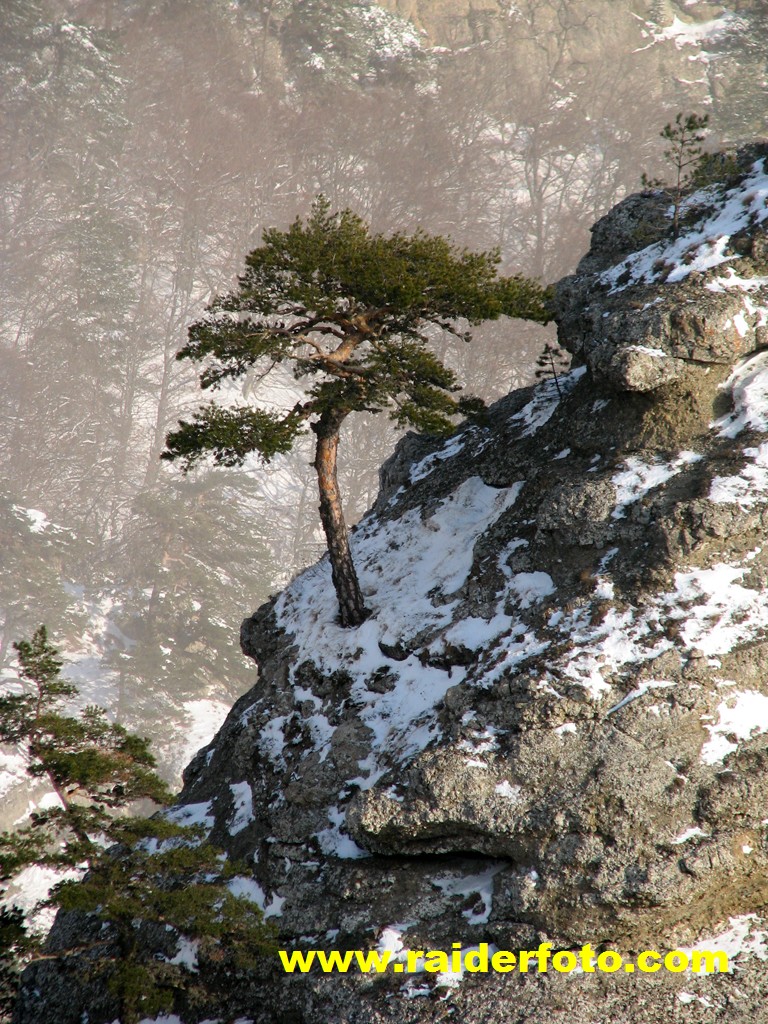 IMG 0560