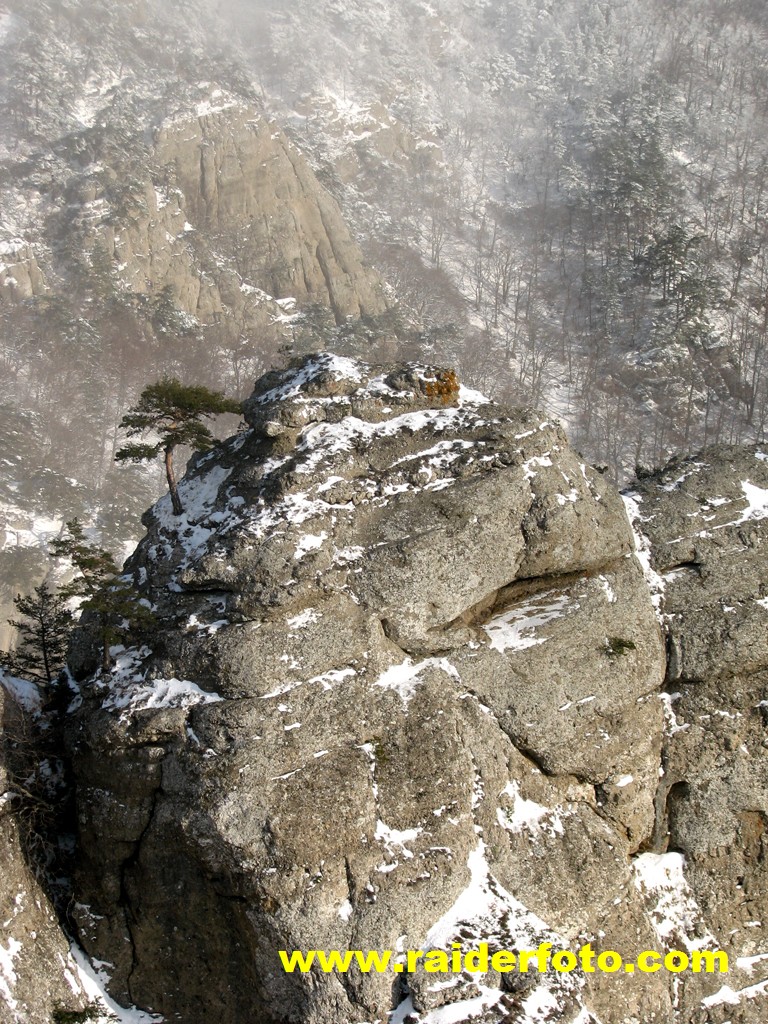 IMG 0562