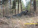 Изображение 032~4