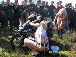 Изображение 217