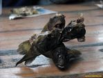 Натюрморт из расчлененки