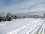 Зима в Крыму